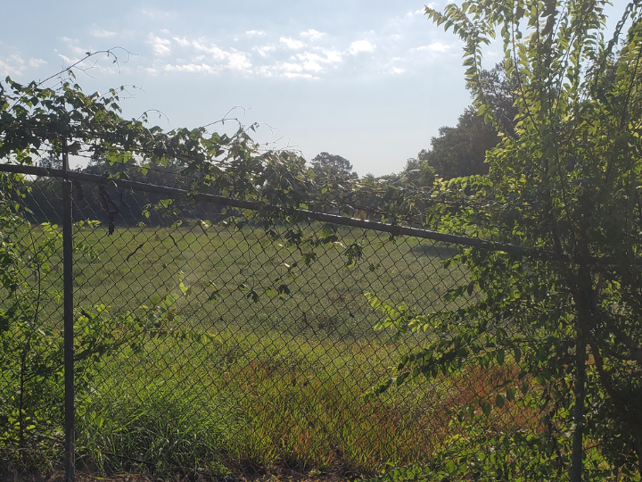 Fence along the Long Point fault