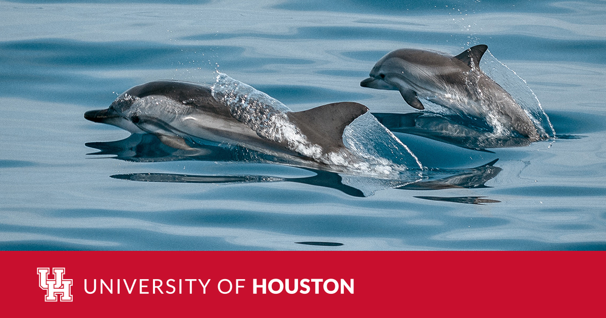 Dolphins have presence at University of Houston Pro Day