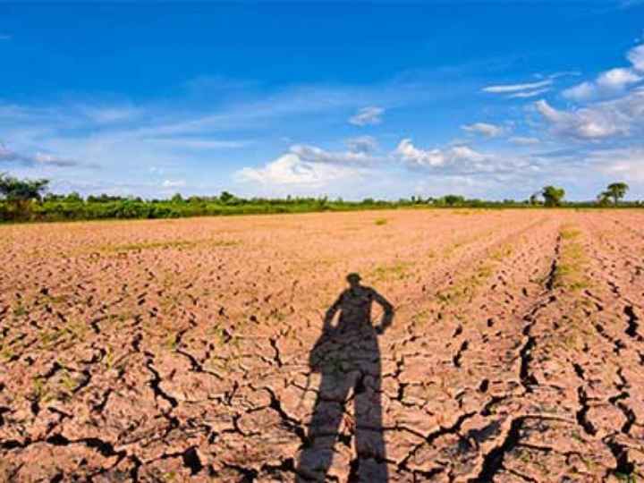 a farmer looks at his dry land