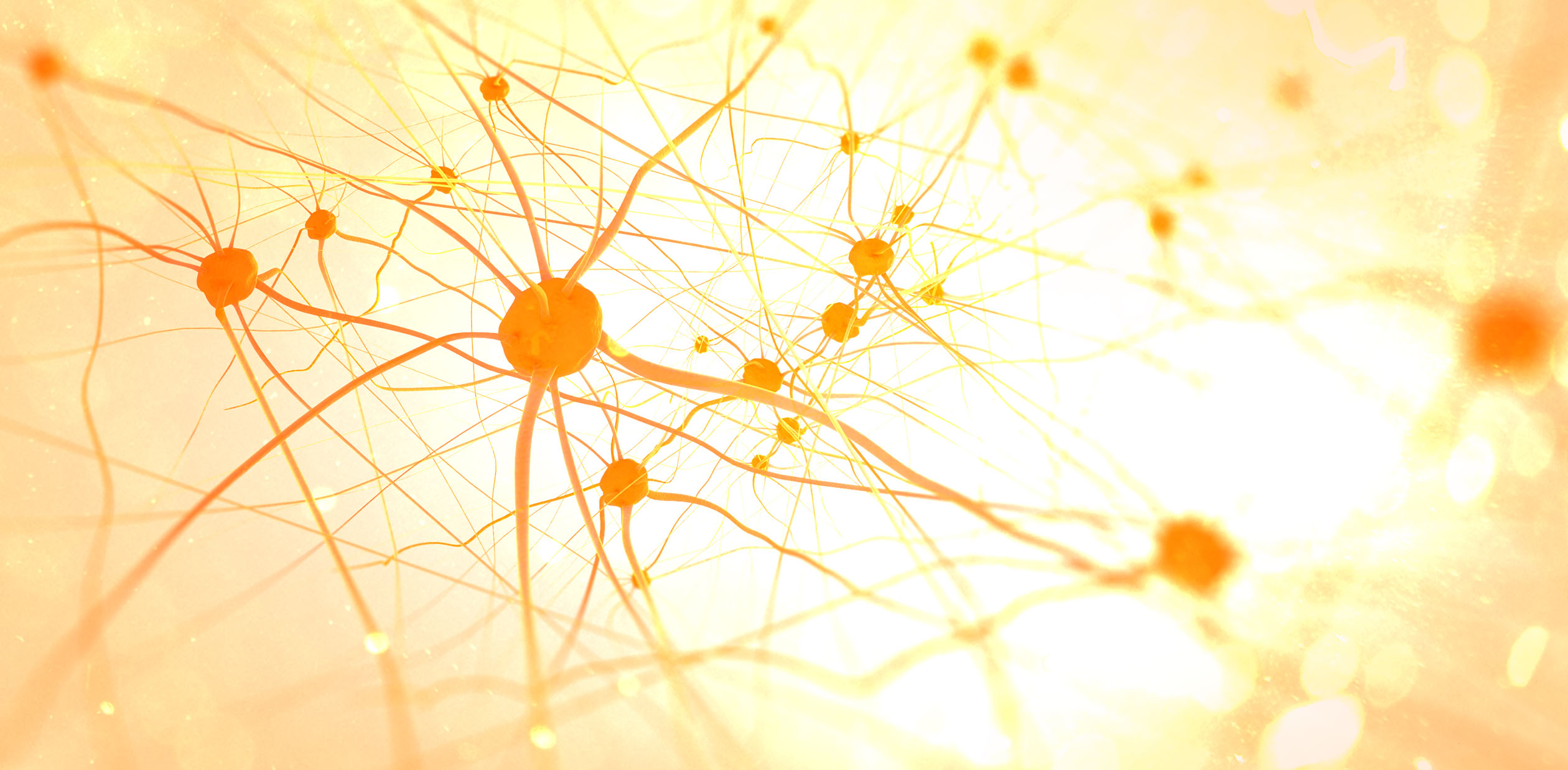 細胞の電場検知能力に新理論、感受性の高さを解明(UH Research Challenges Conventional Theories of How Cells Detect Electrical Fields)
