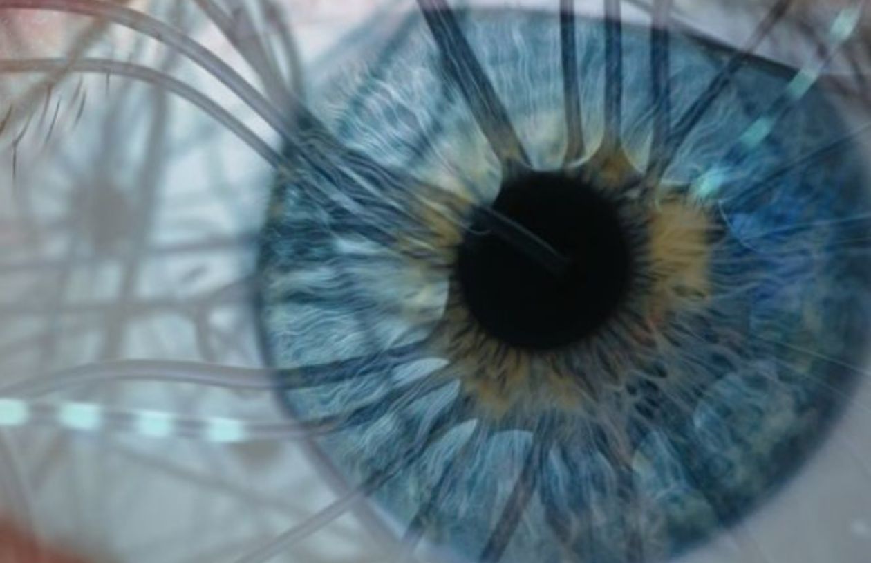 Genes and cells in the eye