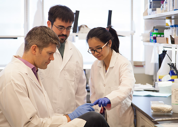 Frigo, shown with lab members Thomas Pulliam and Chenchu Lin, studies the role of autophagy in prostate cancer.