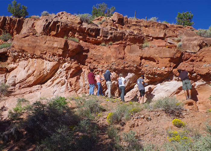 field trip new mexico