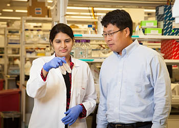 Professor Chin-Yo Lin and Ph.D. student Sridevi Addanki