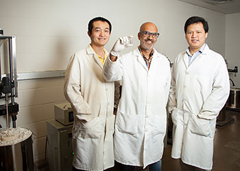 Researchers from the University of Houston’s Department of Chemistry