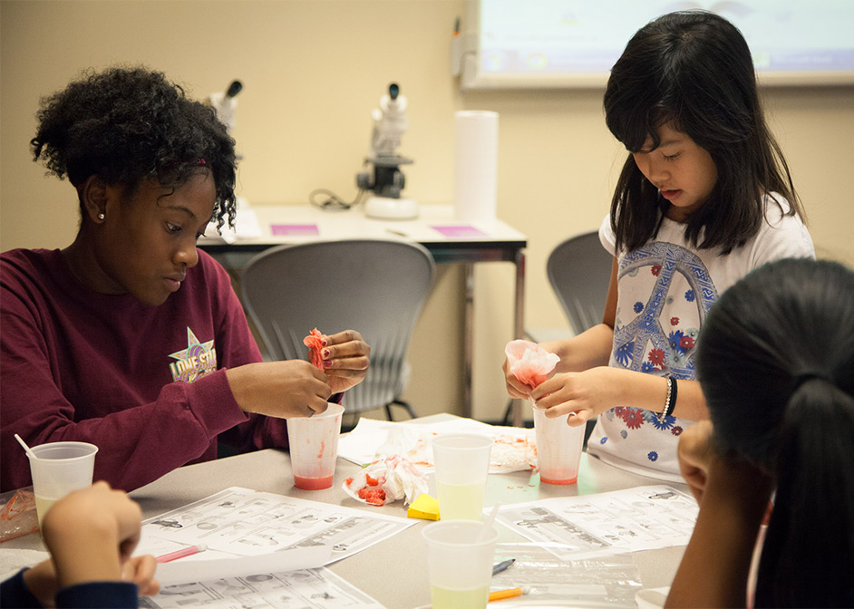 STEM Summer Camp