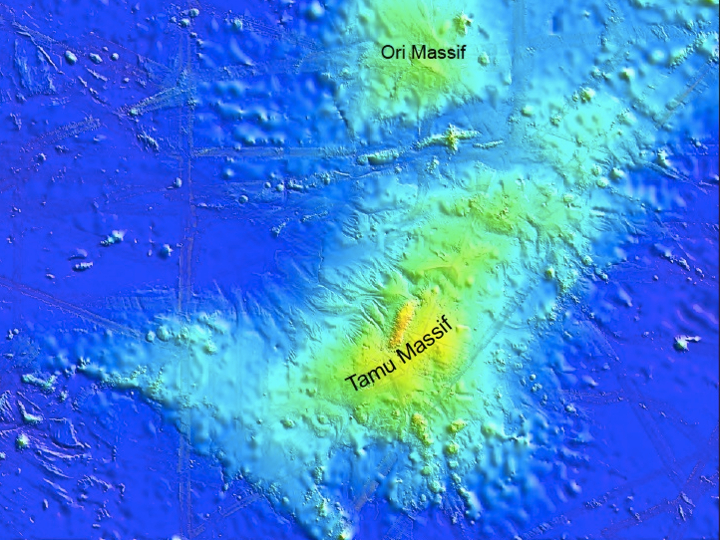 Tamu Massif