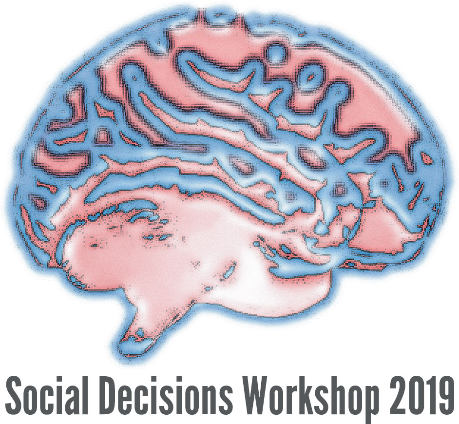 Social Decisions Workshop 2019