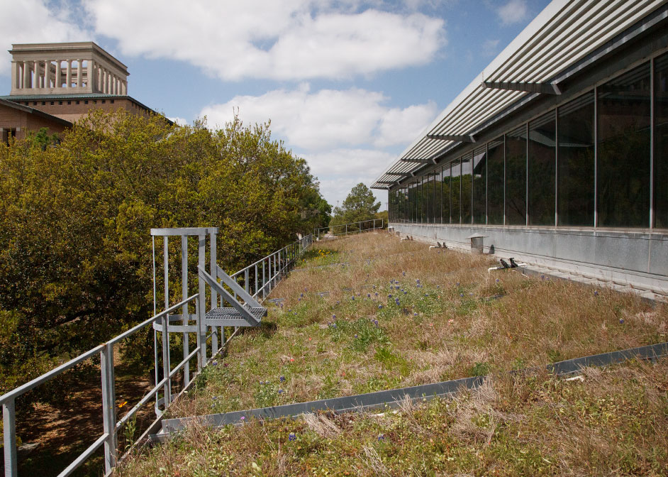 Greenroof, Burdette Keeland Jr. Design and Exploration Center