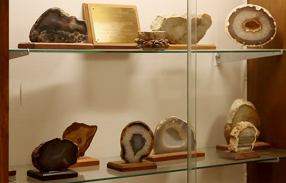 Rock & Mineral Display Case