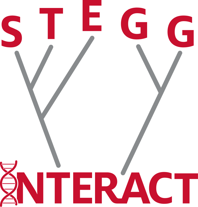 STEGG-INTERACT