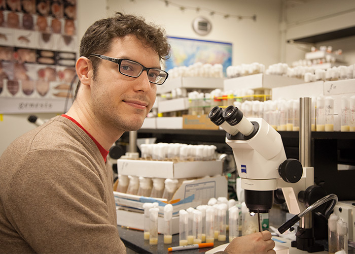 Cameron Love, Ph.D. student in biology and biochemistry, is studying the genetic basis of behavior in Drosophila.