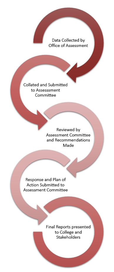 Assessment Process