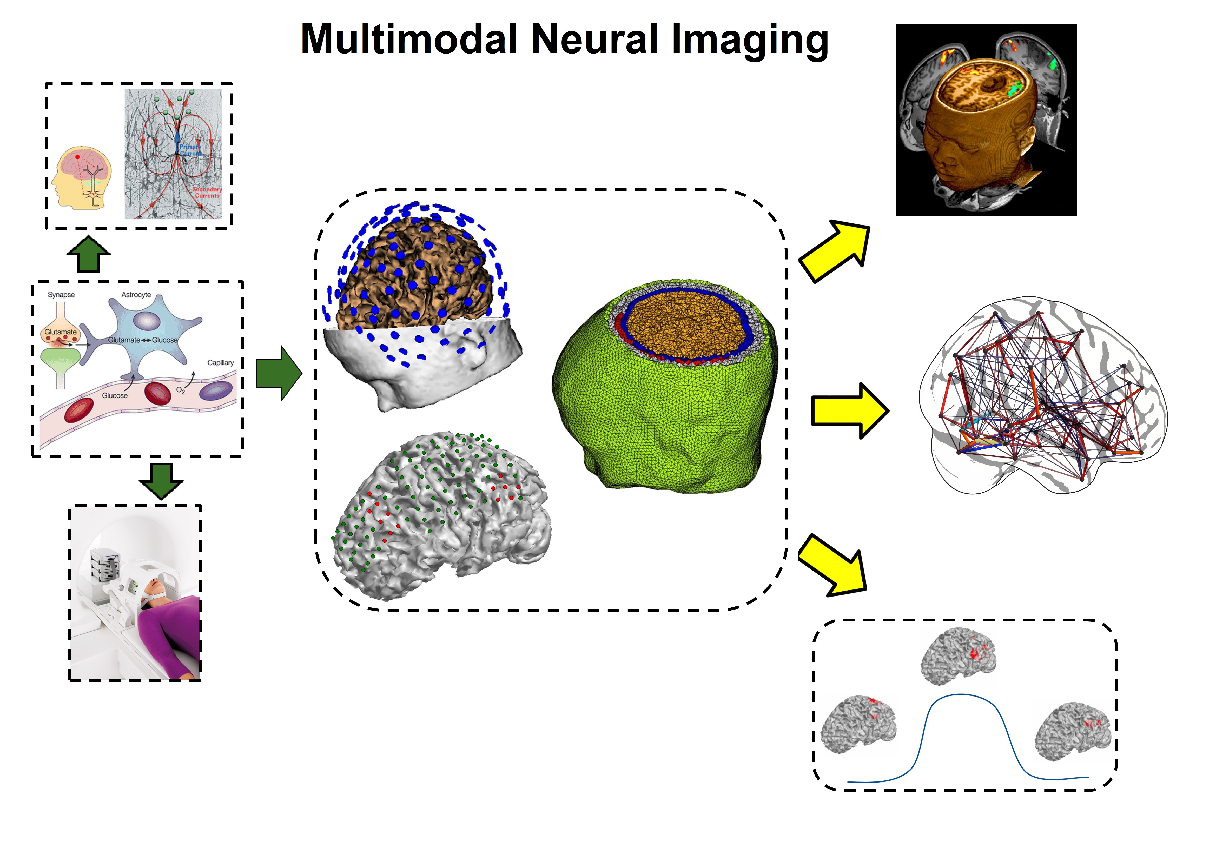 fMRI and EEG