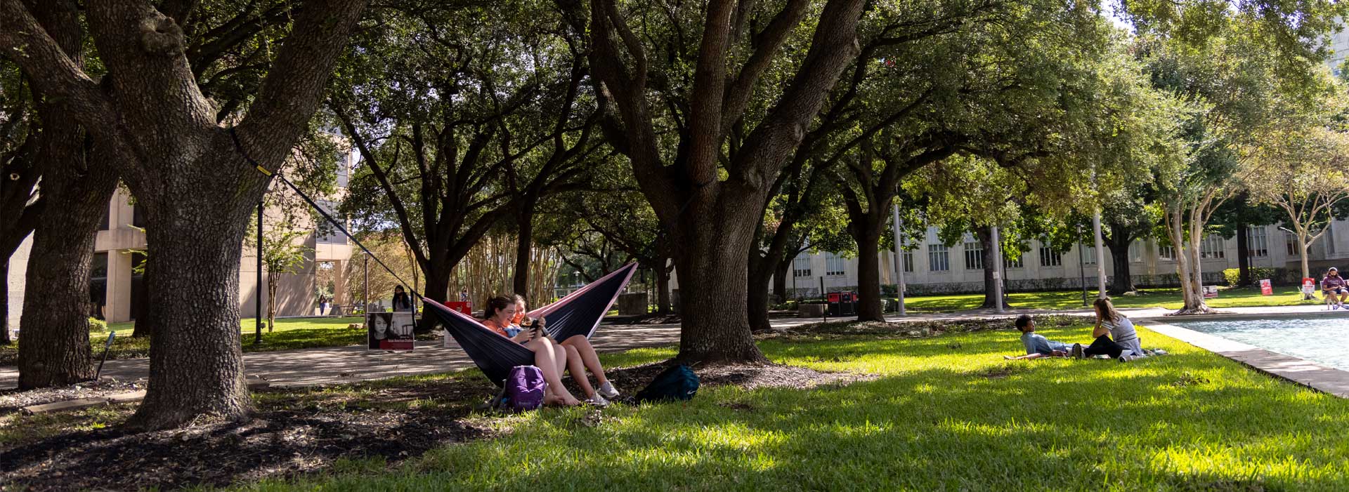 Students sitting on a hammack