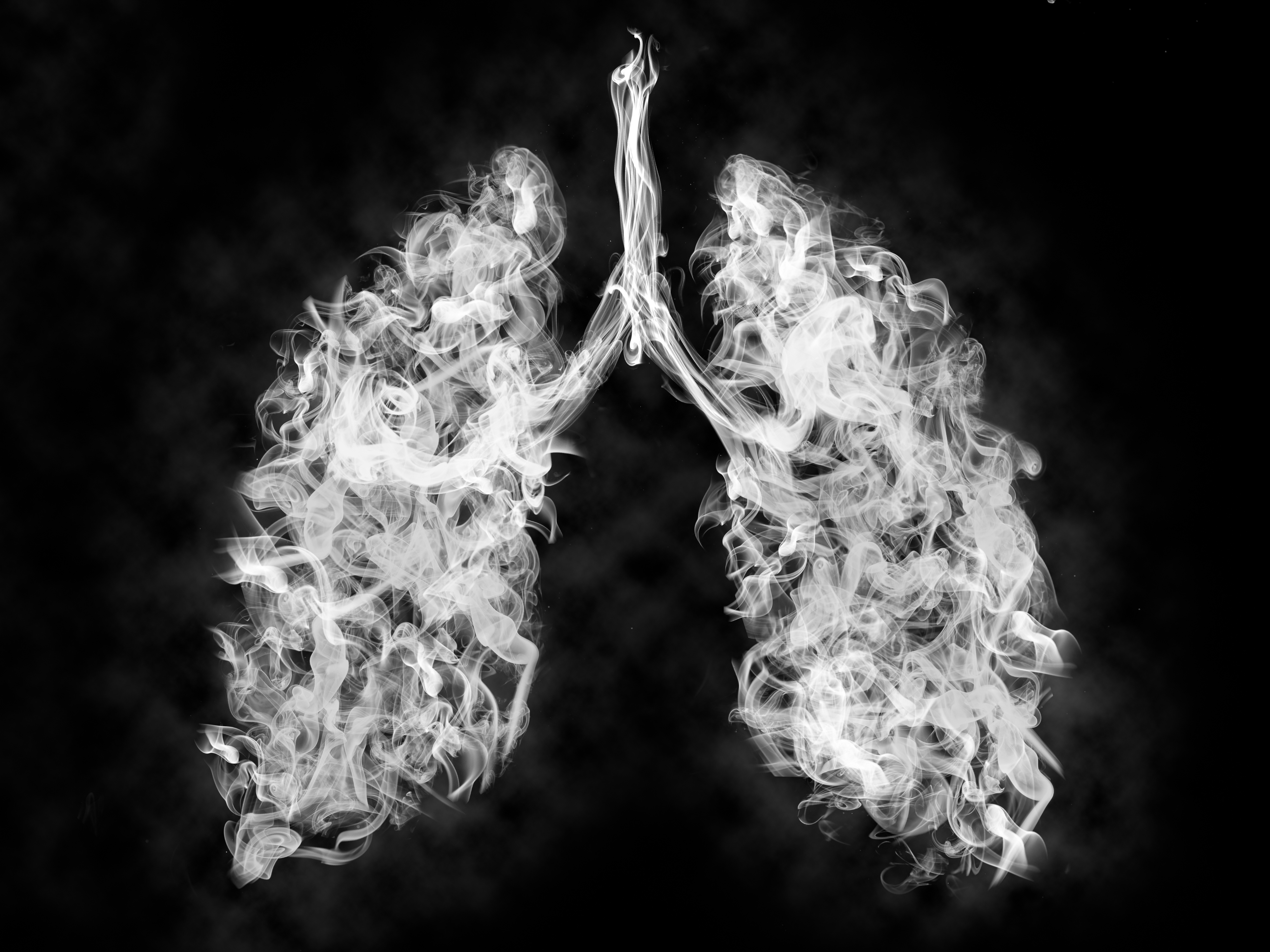 An illustration of smoke filled lungs.