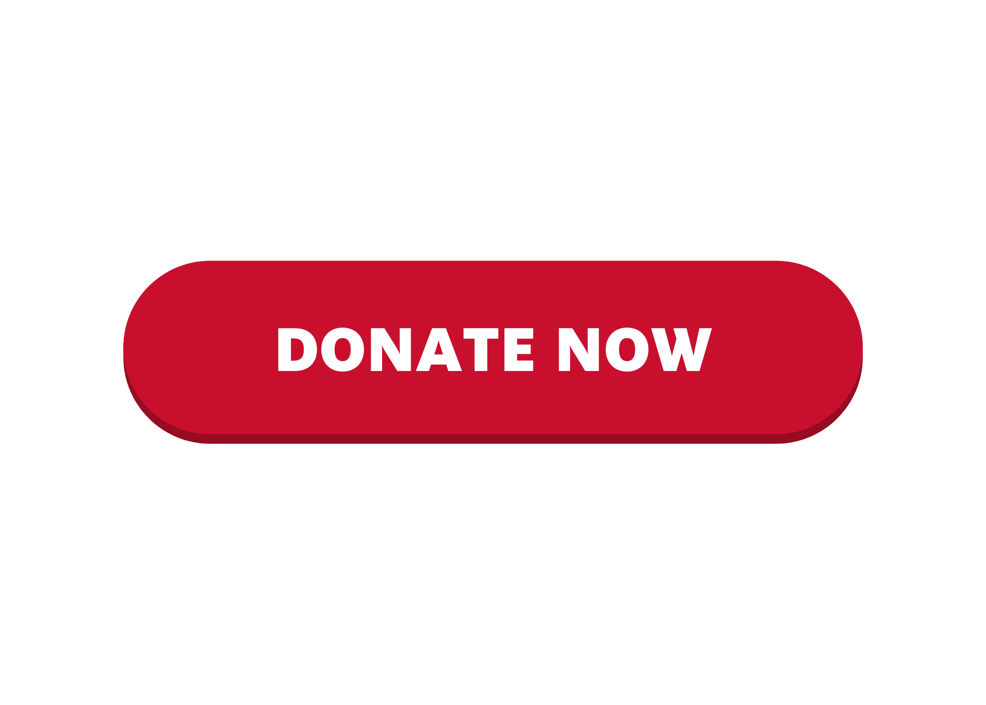 donate-now-hsf_hsf-button.png