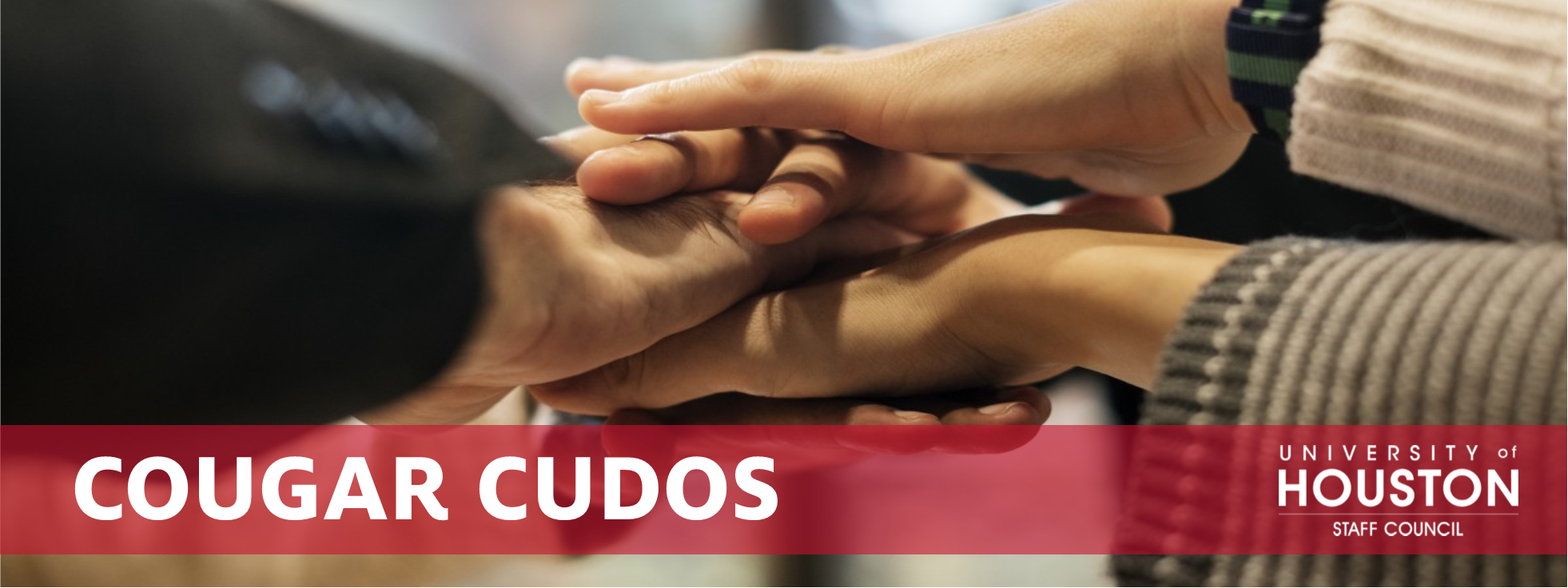 Cougar Cudos