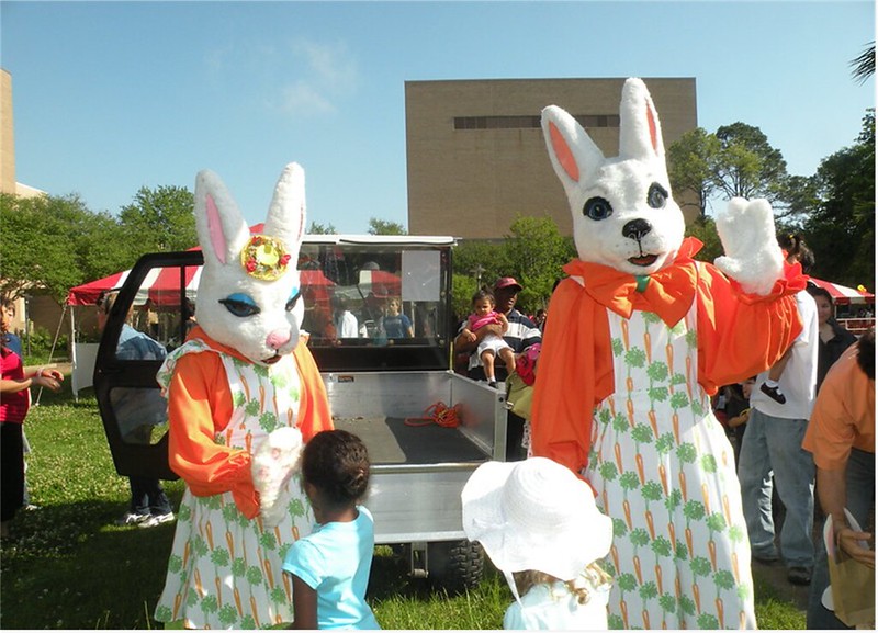 bunny greets kids