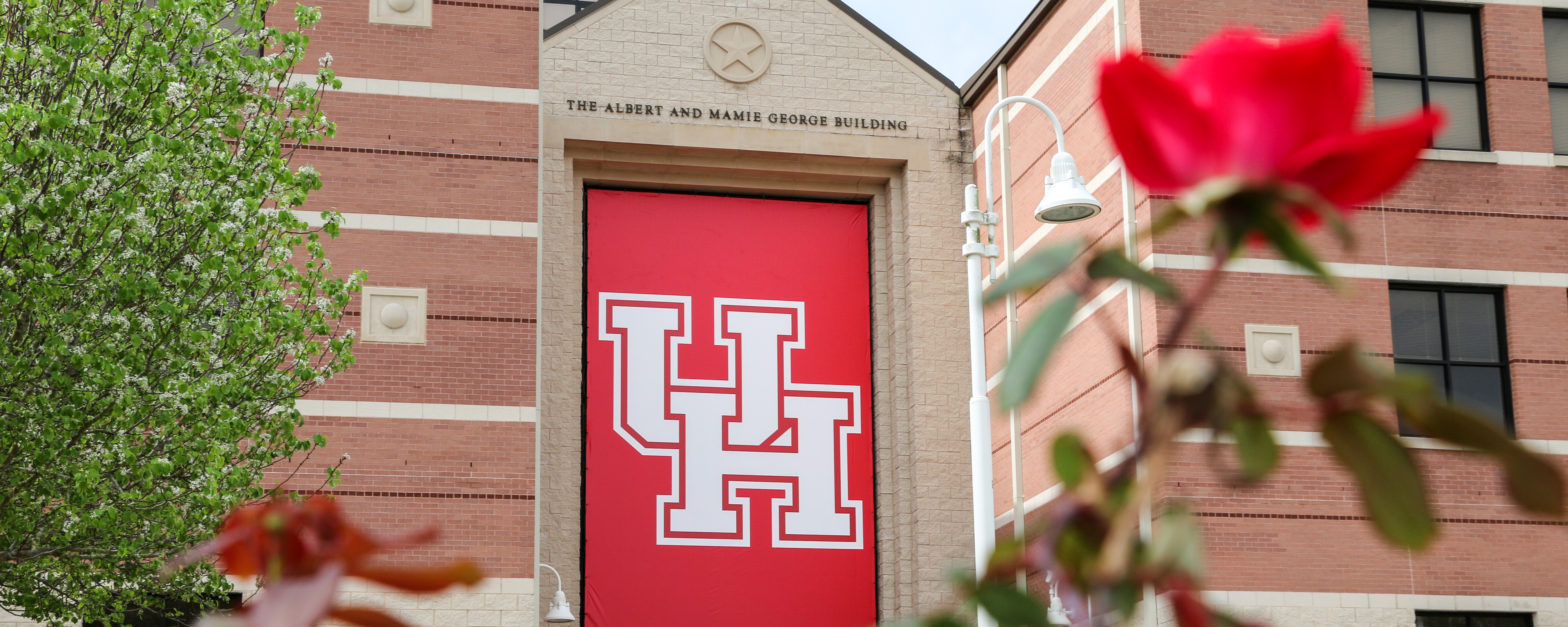 Red UH Banner haning on a brown brick building. A blurred tree branch with leaves is in the foreground
