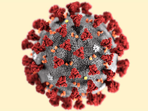 university-of-houston-at-sugar-land-news_corona-virus.jpg