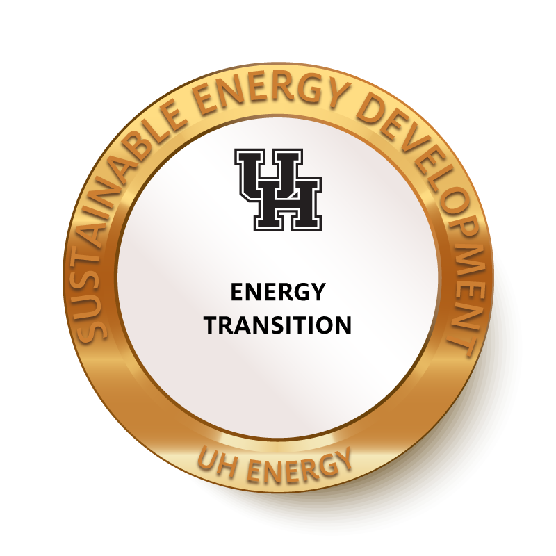 SED bronze energy transition badge
