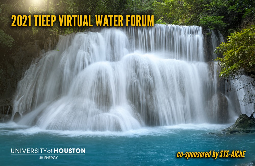 2021 TIEEP Virtual Water Forum