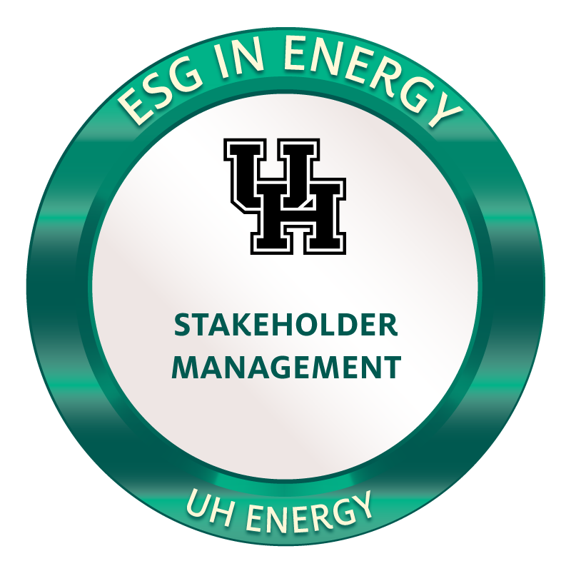 Stakeholder Management Badge Image