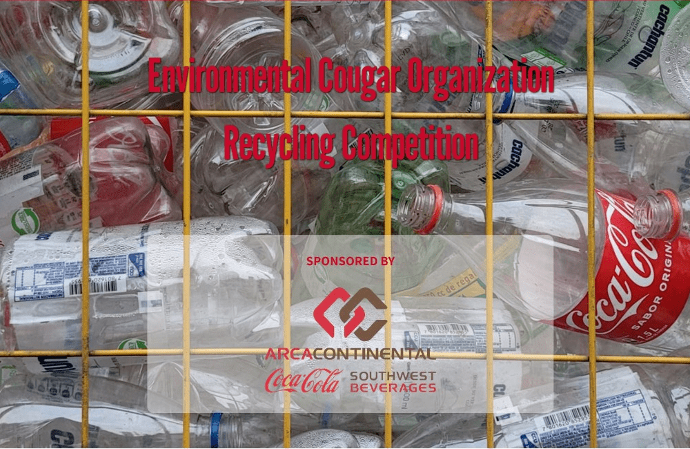 ECO Recycling competition Image
