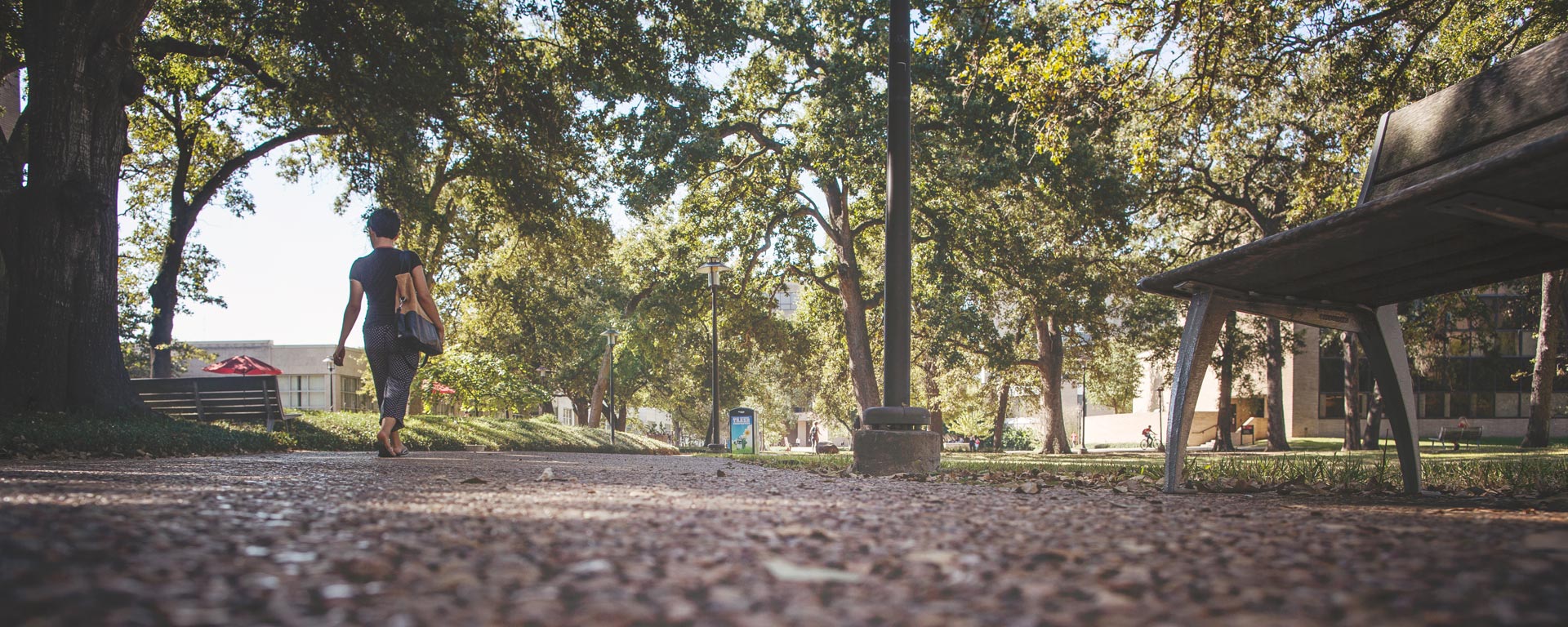 University of Houston sidewalk