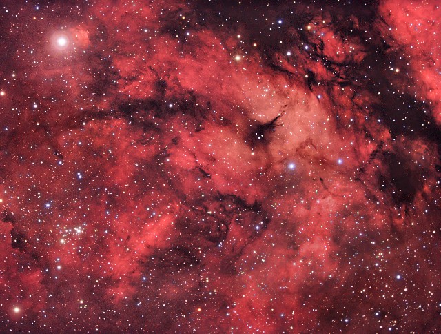 cygnus nebula
