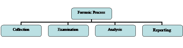 Organization Chart